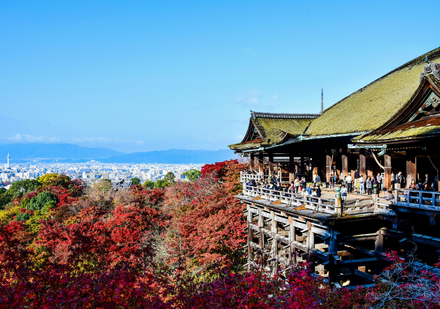 Kyoto Autumn Foliage Guide: Best Spots for Fall Colors & Smart Travel ...